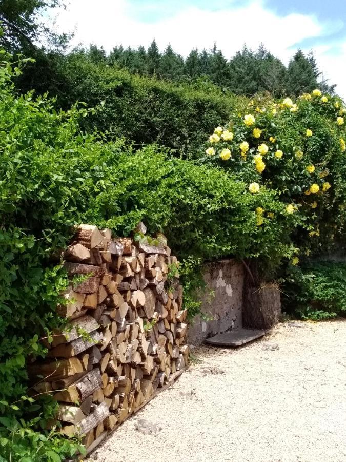 Saint-Racho La Maison Du Potager المظهر الخارجي الصورة