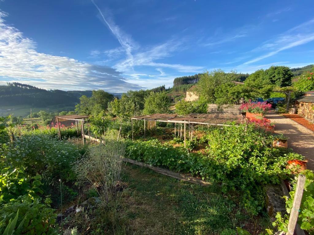 Saint-Racho La Maison Du Potager المظهر الخارجي الصورة