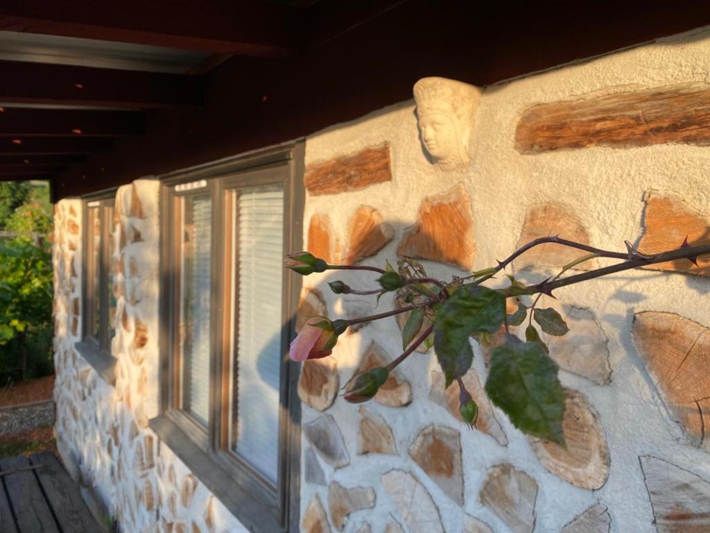 Saint-Racho La Maison Du Potager المظهر الخارجي الصورة