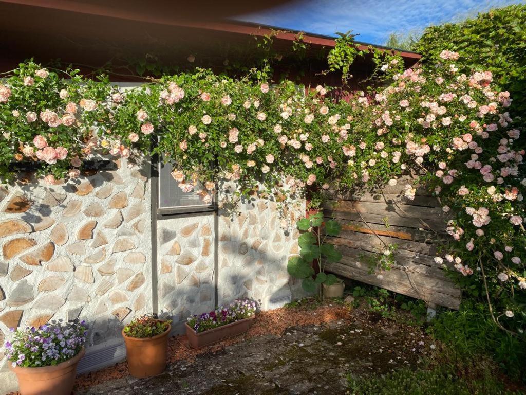 Saint-Racho La Maison Du Potager المظهر الخارجي الصورة