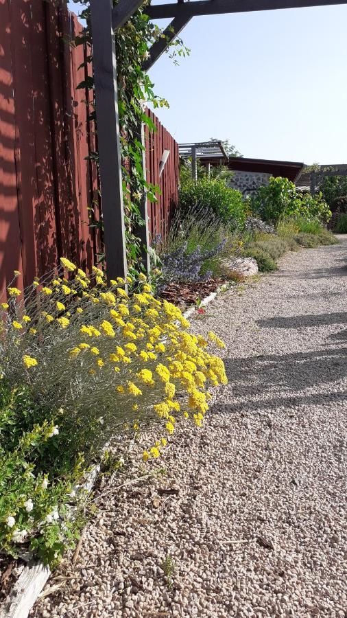Saint-Racho La Maison Du Potager المظهر الخارجي الصورة