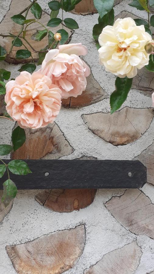 Saint-Racho La Maison Du Potager المظهر الخارجي الصورة