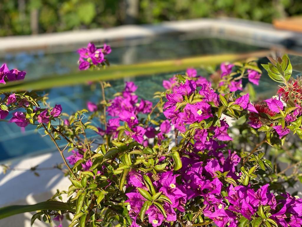 Saint-Racho La Maison Du Potager المظهر الخارجي الصورة
